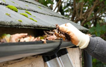 gutter cleaning Wood