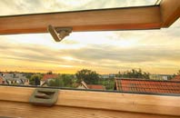 rated Wood roof window companies